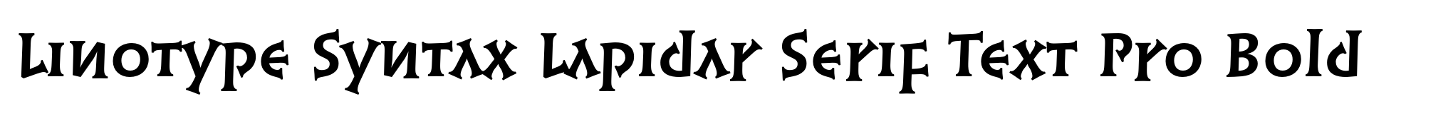 Linotype Syntax Lapidar Serif Text Pro Bold image